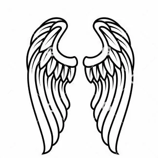 Pair of Angel Wings SVG | SVGed
